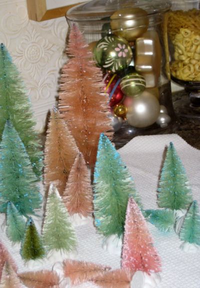 Bleached_trees_010