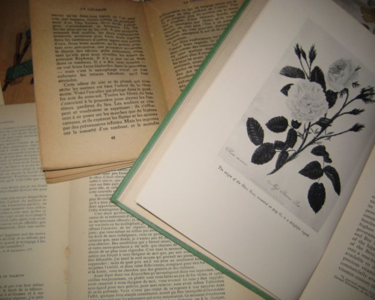 Book_wall_003