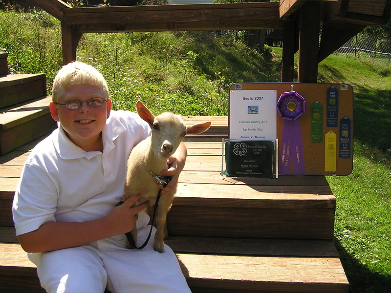 Conner_goat_3