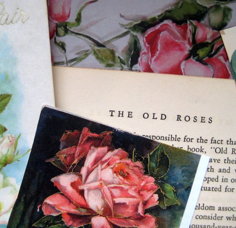 Etsy_paper_packs_029