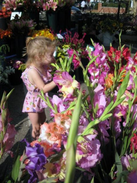 Etsy_sales_024_2