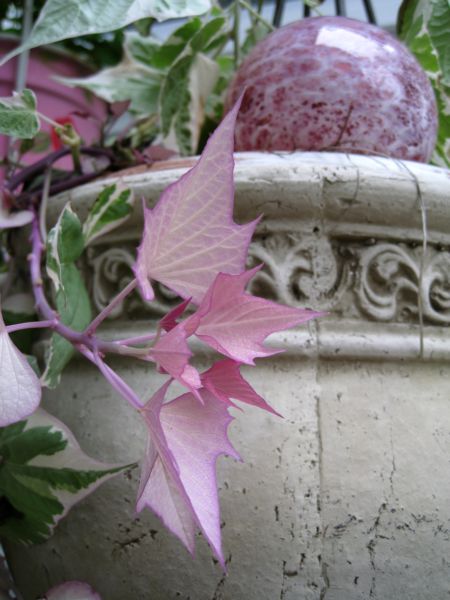 Etsy_sales_214