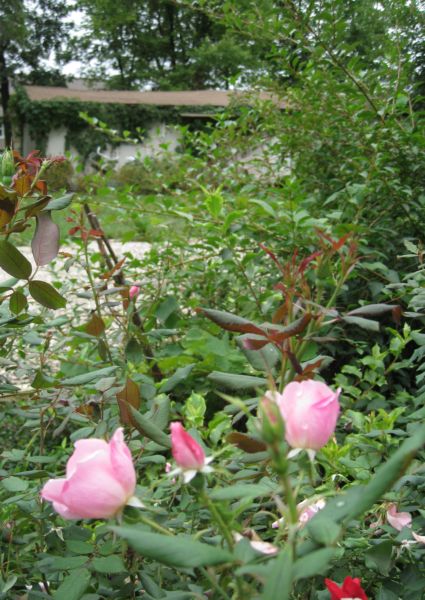 Etsy_sales_224