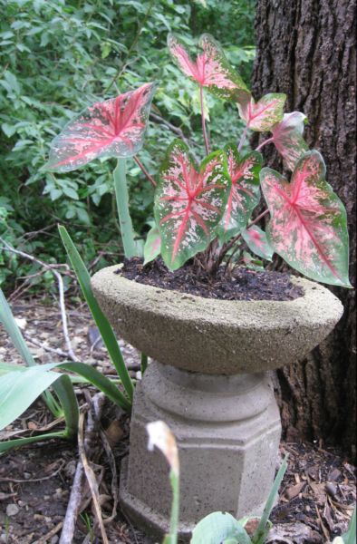 Etsy_sales_226