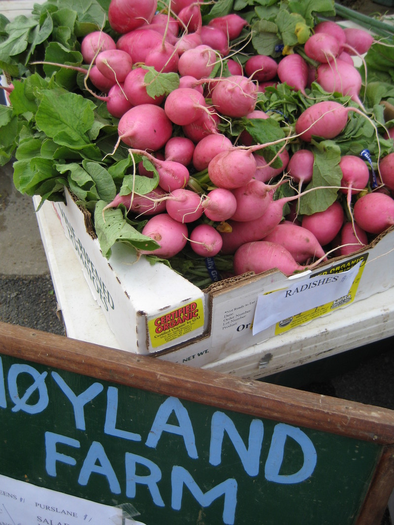 Farmers_market_g_sailing_006