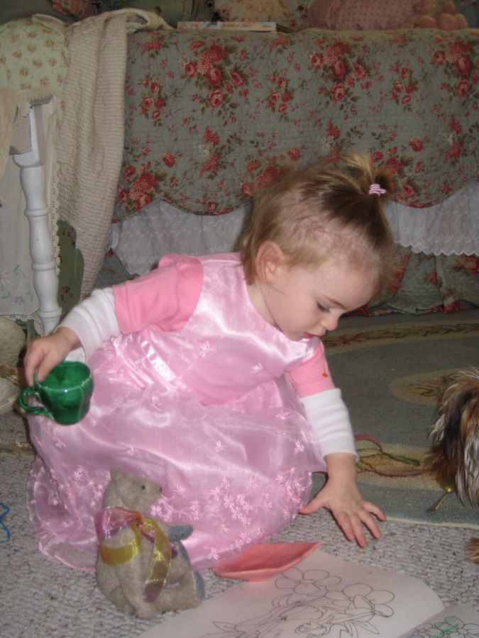 First_tea_party_007