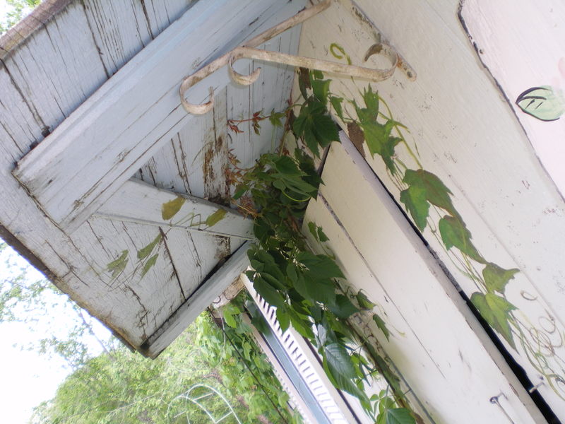 Garden_018