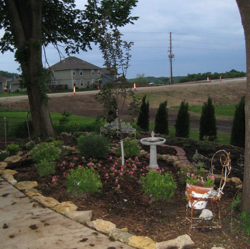 Garden_056