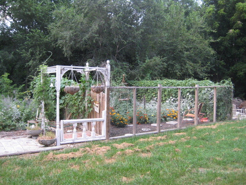 Garden_dust_013