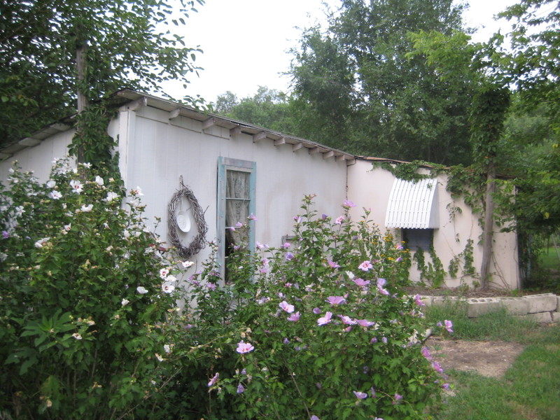 Garden_dust_025