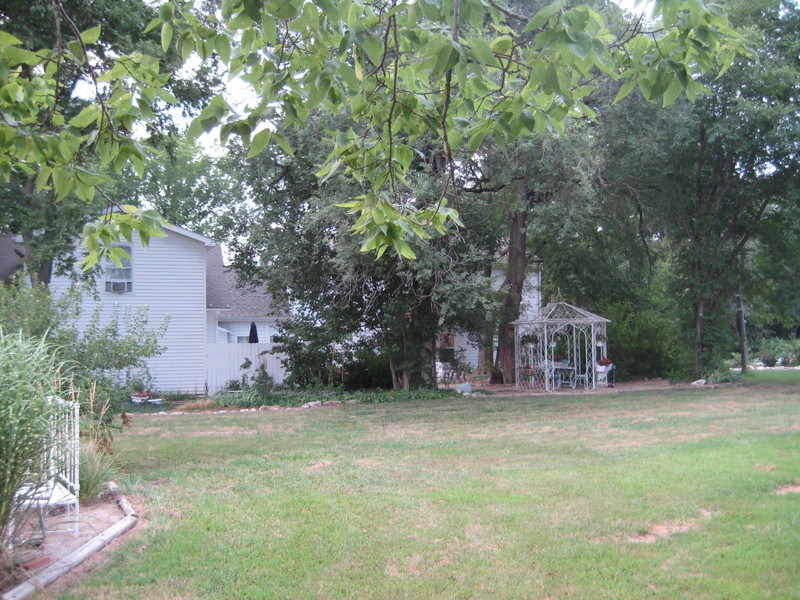Garden_dust_027