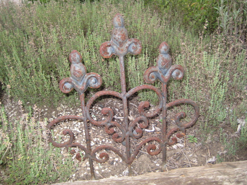 Garden_dust_030