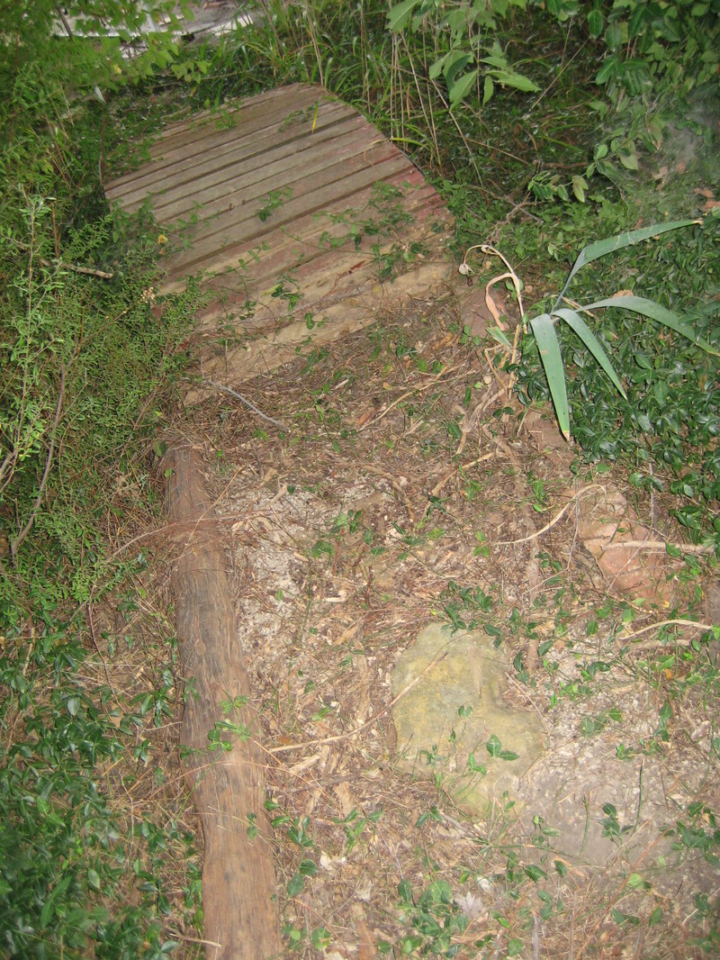 Garden_dust_034