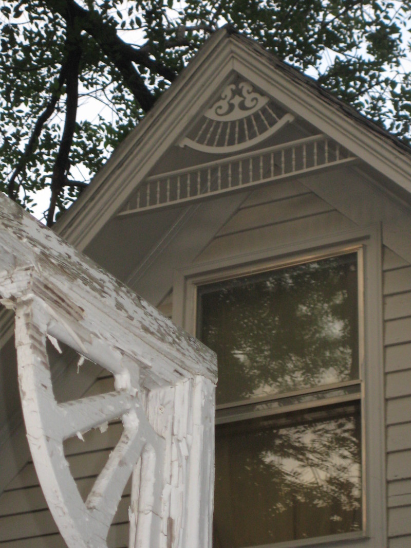 Garden_dust_037