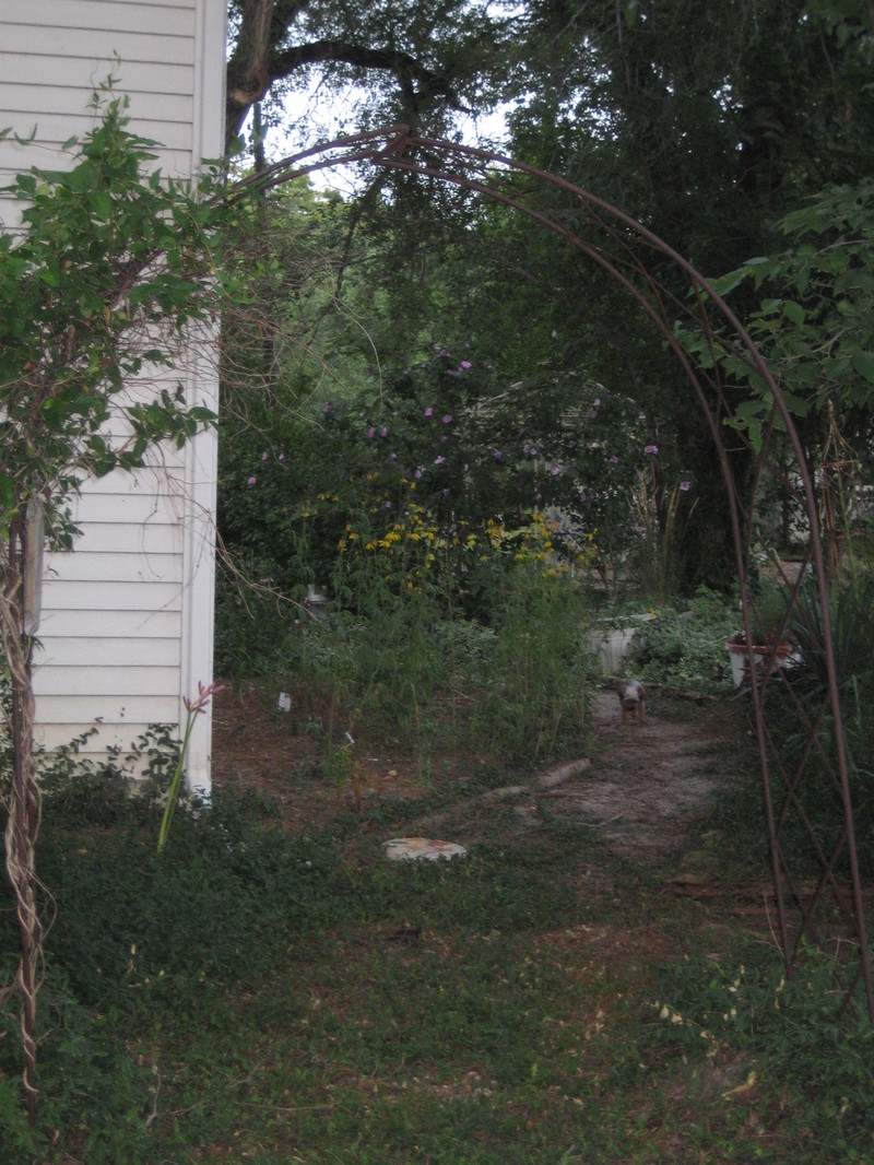 Garden_dust_040