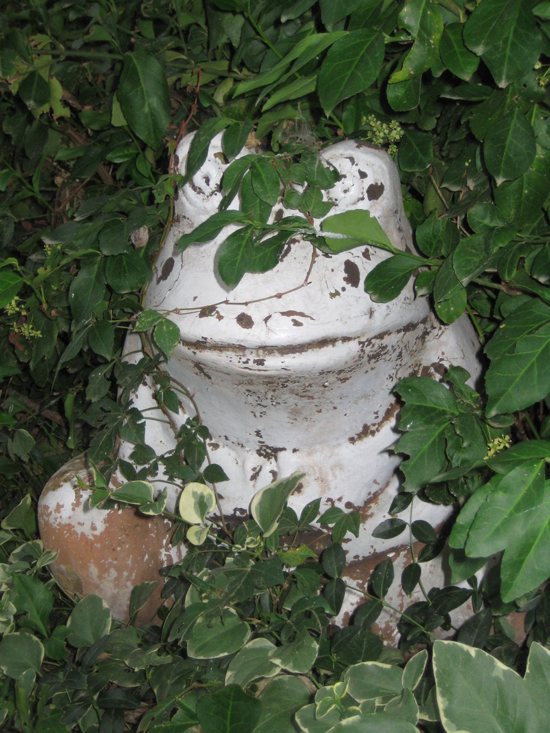 Garden_dust_044