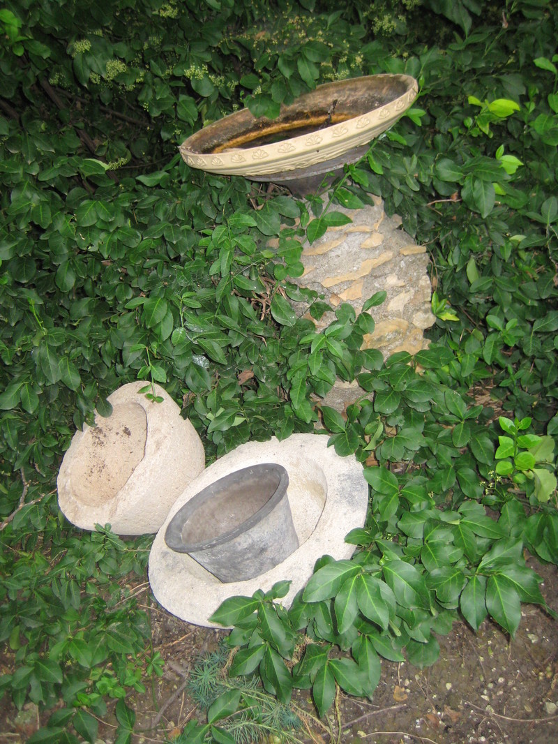 Garden_dust_060
