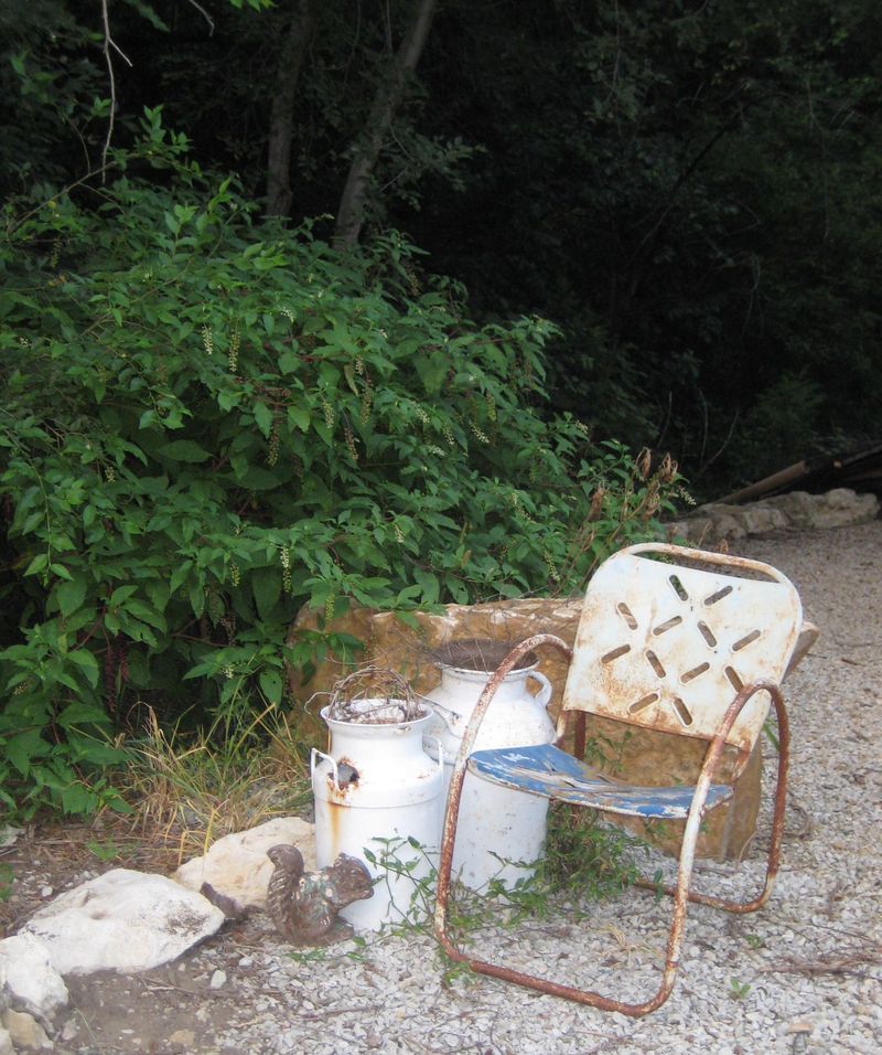 Garden_dust_069