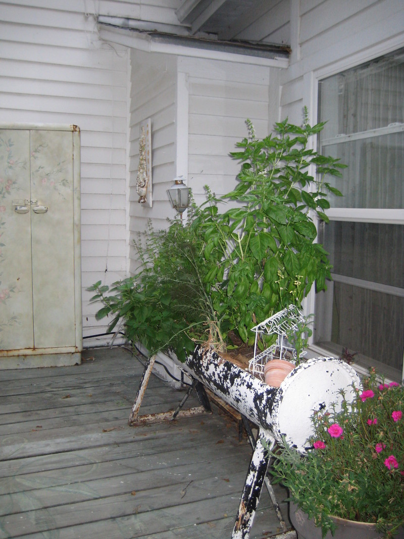 Garden_dust_079