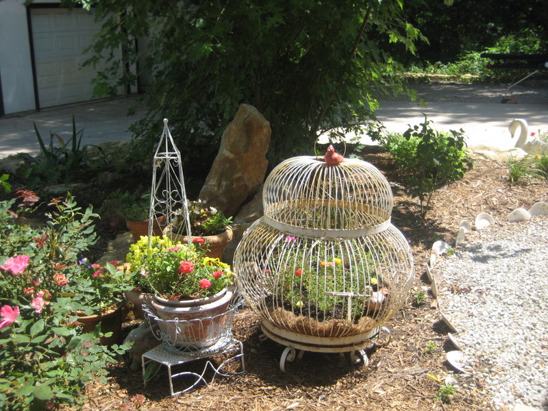 Gardenjuly_008