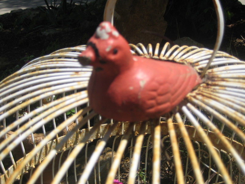 Gardenjuly_010_2