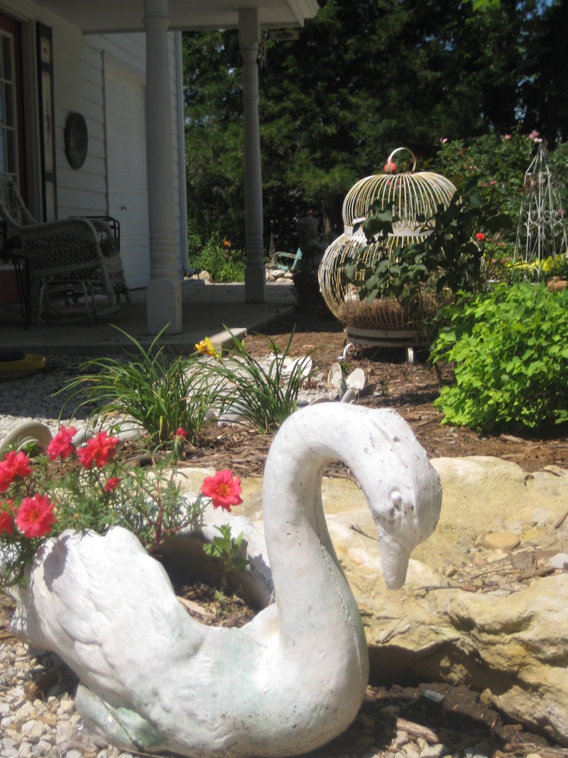 Gardenjuly_011