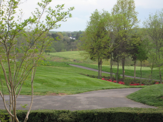 Golf_course