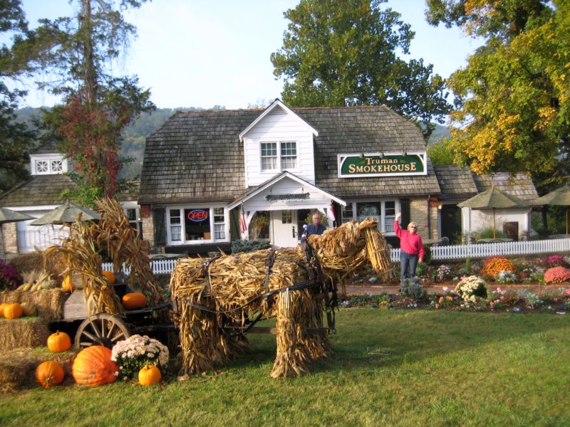 Great_cedar_001