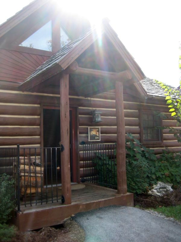 Great_cedar_038