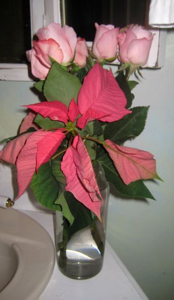 Holiday_shop_070