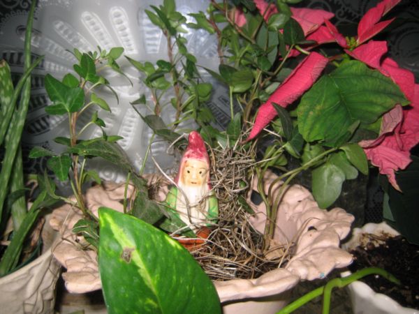 Holiday_shop_073
