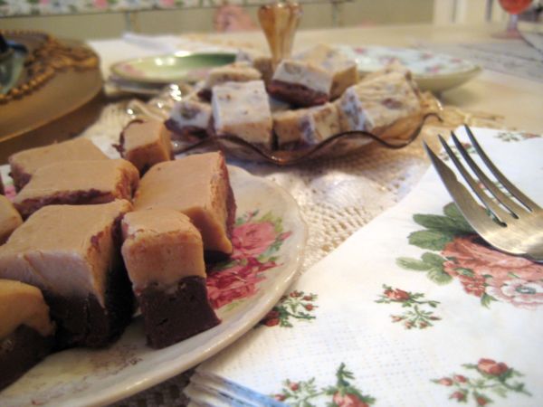 Ice_and_fudge_013