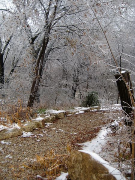 Ice_and_fudge_023
