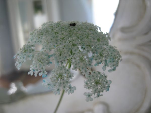 Img_6412_3
