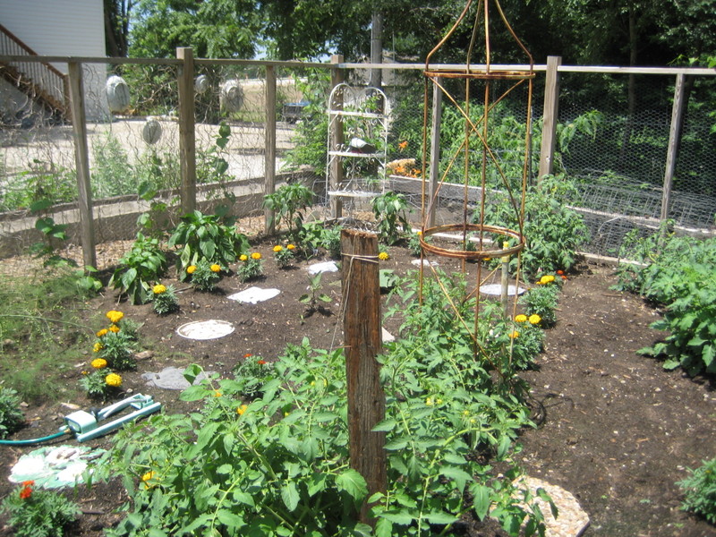 June_20_008