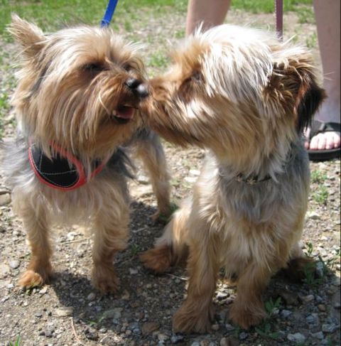Leandra_and_dusty_010_2