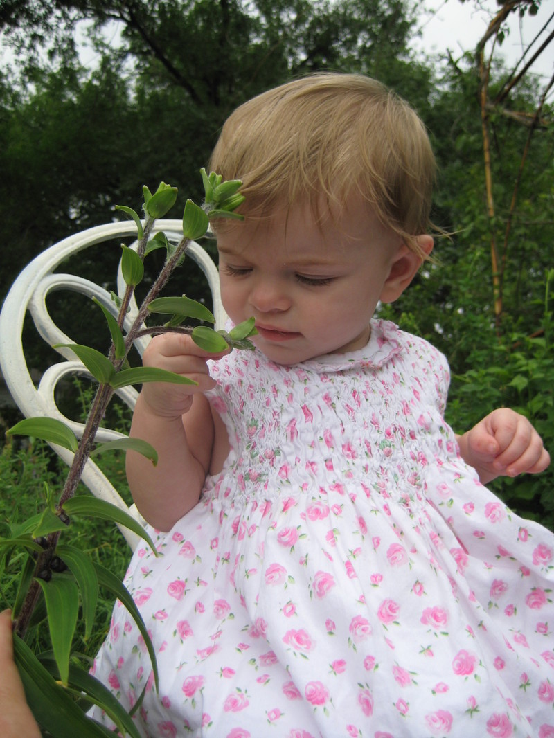 Leandras_rose_dress_june_11_012
