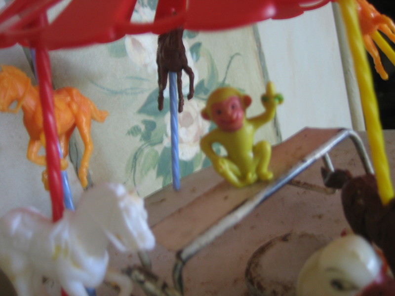 Loris_visit_036