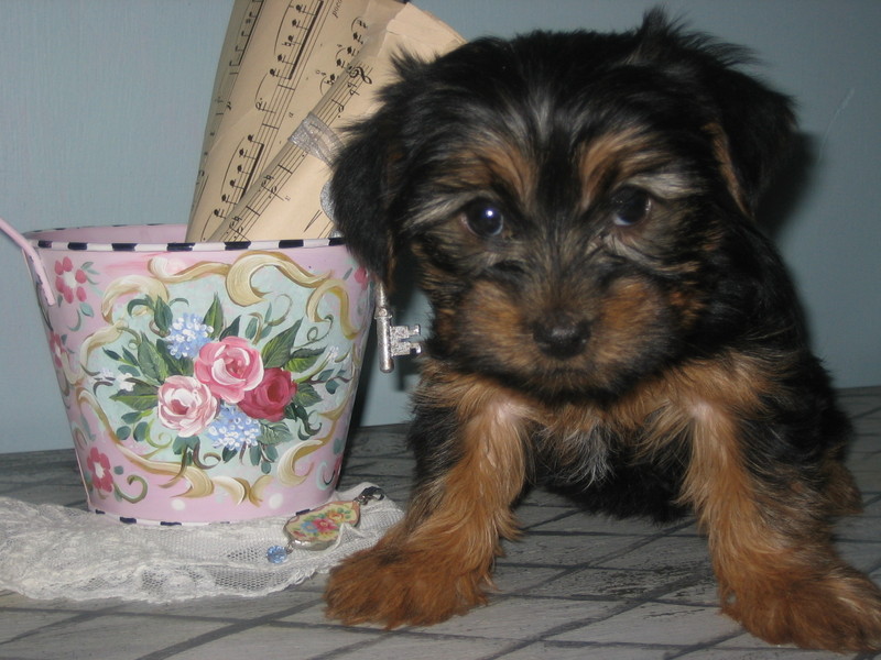 May_bucket_009_2