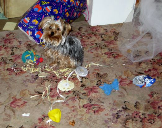 Mess_019