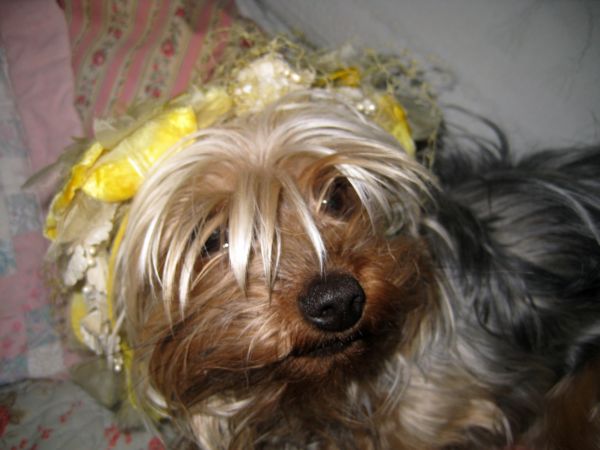 Millinery_019