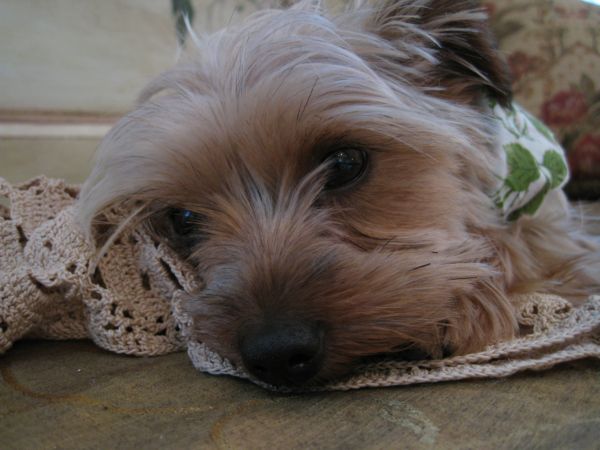 Milo_zack_038
