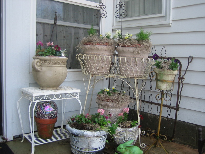 Plantings_easter_023