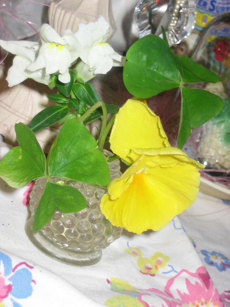 Plantings_easter_031