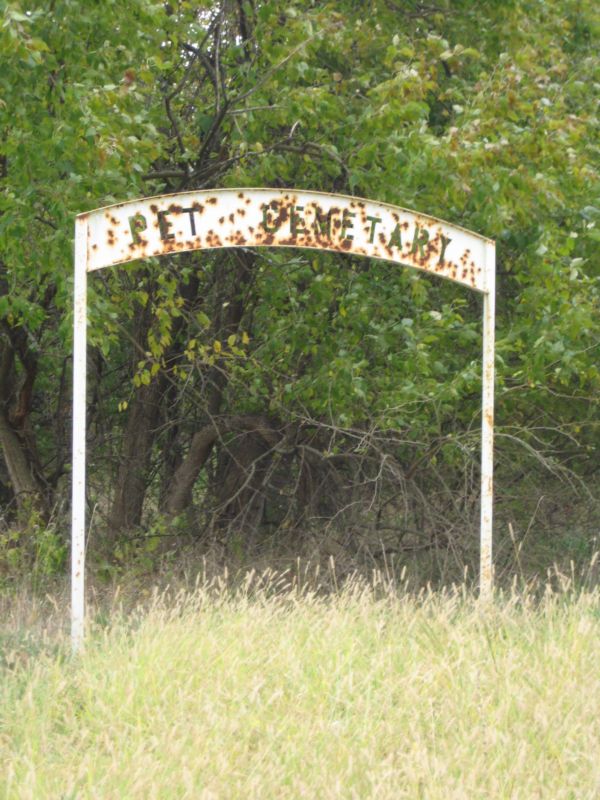 Pumpkin_patch_031
