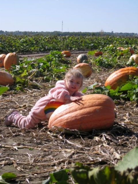 Pumpkinpatcho8_048