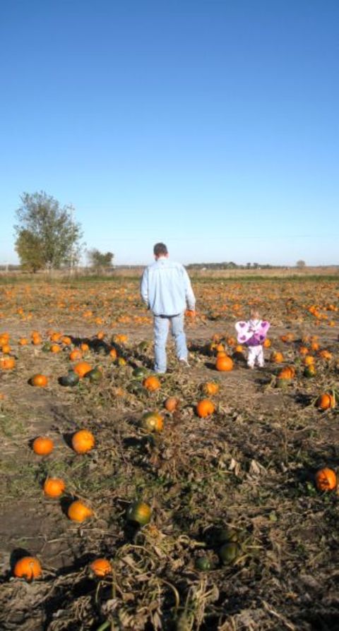Pumpkinpatcho8_088