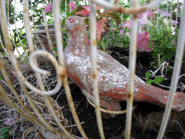 Red_005