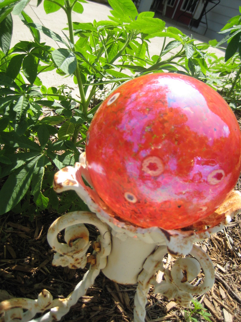 Red_w_b_004