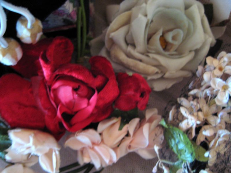 S_bella_009
